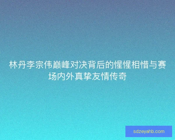 林丹李宗伟巅峰对决背后的惺惺相惜与赛场内外真挚友情传奇