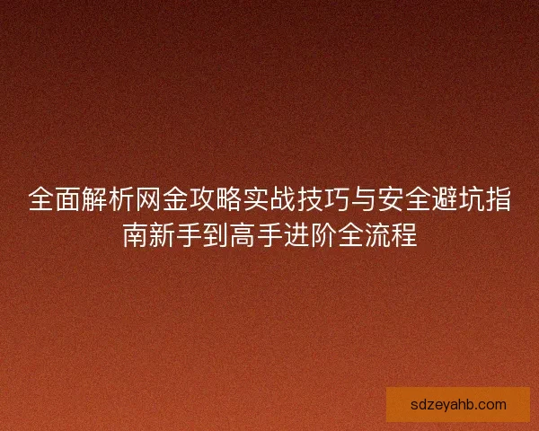 全面解析网金攻略实战技巧与安全避坑指南新手到高手进阶全流程