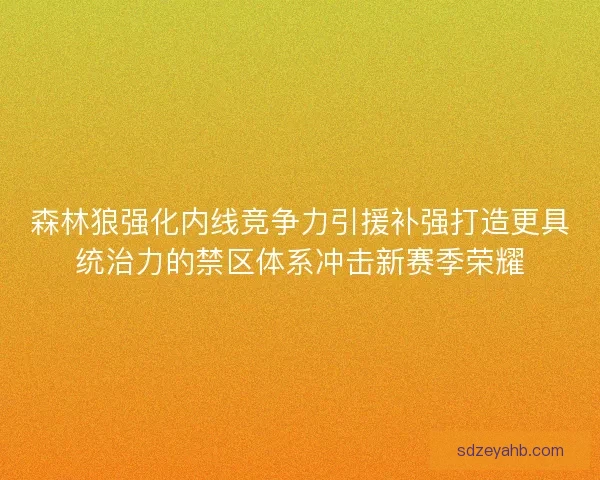 森林狼强化内线竞争力引援补强打造更具统治力的禁区体系冲击新赛季荣耀